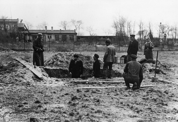 Arbeitseinsatz von Häftlingen im „Schutzhaftlager” Oranienburg bei Berlin  (April 1933)